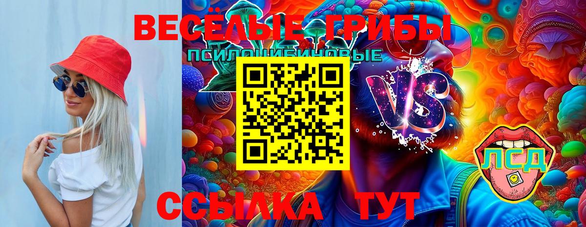 Псилоцибиновые грибы мицелий Электросталь