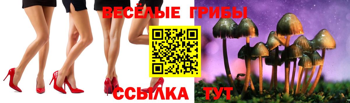 Галлюциногенные грибы Magic Shrooms  Вход с VPN  Псилоцибиновые грибы ЛСД  Электросталь 